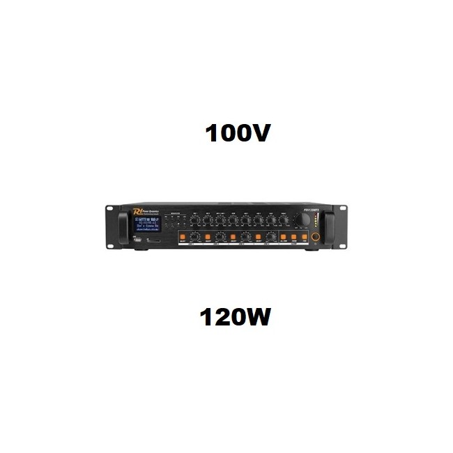 Acquista Nuovo amplificatore audio PA 120W 100V 4 zone regolabili, ...
