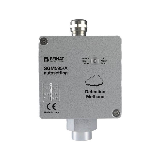 Acquista Sonda per gas GPL con sensore a tecnologia catalitica e ta...