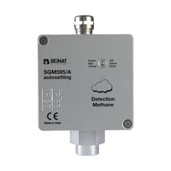 Acquista Sonda per gas METANO con sensore a tecnologia catalitica e...