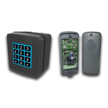 Acquista Kit composto da scheda di interfacciaS0002P e tastiera BUS...