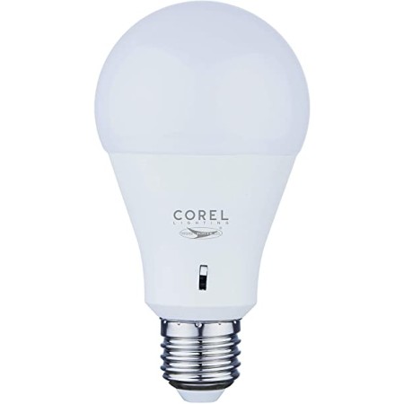 Acquista Lampada LED 15W E27 luce selezionabile calda, naturale o f...