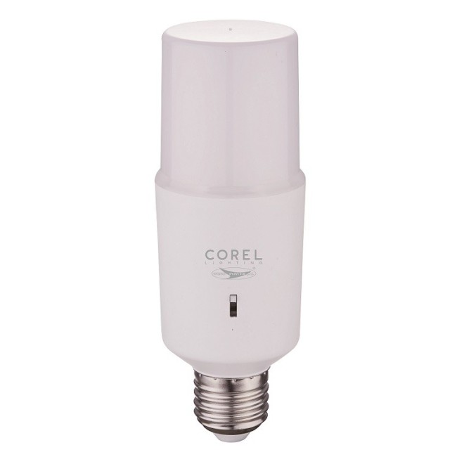 Acquista Lampada LED 15W E27 T50 luce selezionabile calda, naturale...