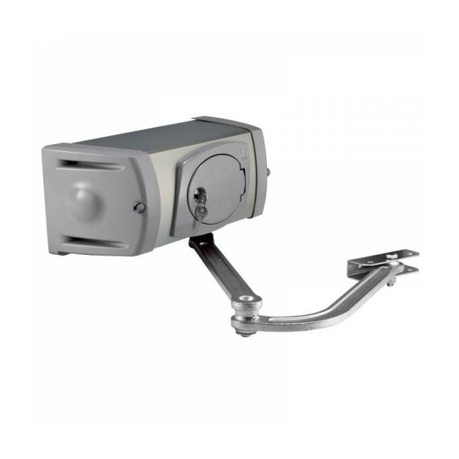 Acquista Motoriduttore irreversibile FERNI 24Vdc per cancello ad an...