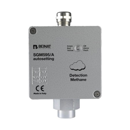 Acquista Sonda per gas METANO con sensore a tecnologia catalitica e...